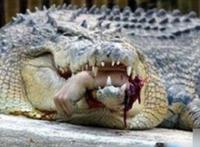 古代对女人的酷刑图片：日本重口味电影图解gif