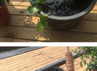 可爱的小狗洗澡图片