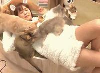 胸部一瞬间变大动态图