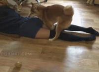 秀胸吧贴吧图片：大胸妹子胸罩崩开gif