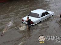 鳄鱼你是来搞笑的吧