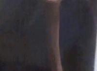 不收钱的福利微信群大全：微信小视频吧gif