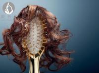 洗头发掉头发怎么办