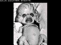 美人鱼真的存在吗,美人鱼宝宝图片