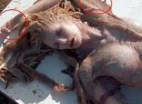 广东水库抓到一只女鬼图片