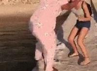 69老司机是什么意思动态图：老司机在线网站福利