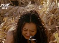 鲁管专用动态图29期：鲁管专用动态图