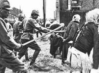 222222222222视频免费：杀人现场惨不忍睹图片