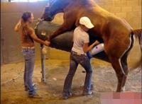 欧美妓女与马12p：美国妓女真实生活照片