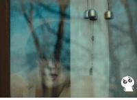 两个小男孩搞基视频：12岁男孩的小鸡多长图