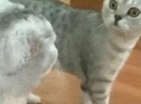 手指挺进去放肆的律动：三人成狼塞葡萄104章