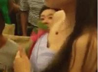 内射端庄少妇40p：白领办公室销魂20p