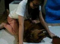 养狗的女人不能娶怎么回事