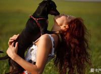 女孩为什么喜欢养狗