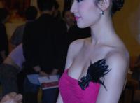 刘亦菲多少钱一晚：刘亦菲照片大全图片