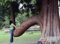 男人的粗棒棒图片欣赏:想看男人的大粗黑图片 男人的粗棒棒图片欣赏:想看男人的大粗黑图片