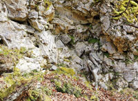 32张人体照片惊呆了：张雨含的全体艺术照