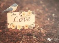 什么叫有质量的爱情