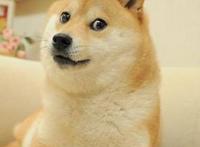 doge顺毛图：可爱男顺毛图