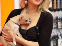 和狗做了一天的爱：少妇和狗干了讲述亲身感受