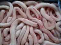 牛欢喜有什么功效:牛欢喜和牛鞭图片 牛欢喜有什么功效:牛欢喜和牛鞭图片