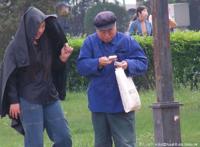 树林里的秘密視频：老年人在树林里秘密，老人树林高清图片