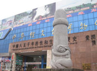 仿真男性具图片:阴阳人器官图片大全 仿真男性具图片:阴阳人器官图片大全