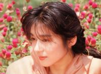 青山知可子亜热帯：青山知可子热帯性气候