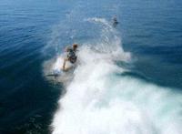 鲤鱼乡文库太大了嗯嗯：甜梦文库啊哈顶我爸爸