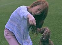 竹林玩中老年妇女视频：老人树林高清图片