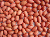 禁忌：7类人不宜吃花生 当心催命