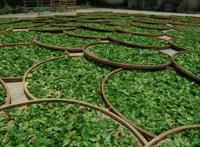 食物中毒！15种加料美食如砒霜