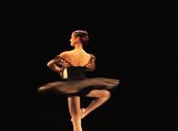 我和清洁工大妈：经理干公司保洁阿姨