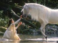 多男一女小说有哪些：安顿口述实录下载