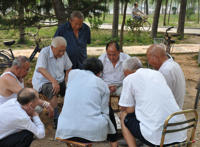 大背心裤衩老头图片：老人树林高清图片