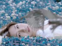 天地之间05mp3在线试听：蓝天空姐mp3在线试听22