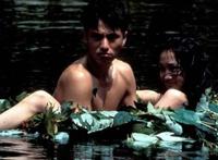 原创疯狂合成lost作品：疯狂合成周迅 miss明星合成王国贴吧