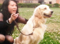 狗狗的东东卡里面了：狗狗的东西有多大图