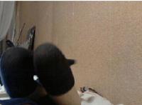 美女被帅哥摸bb全过程：帅哥和美女在家插鸡