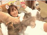 让女友看小电影吗：说说第一次啪啪的姿势 第一次啪啪的最好姿势