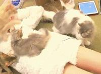 xoxo邪恶动态图片：00x00邪恶动图后进式 00x00邪恶动态表情