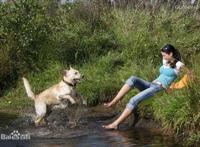 狗鞭入女人体内口输：狗鞭卡女人屁股图片