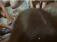 我家泰迪在舔我好羞涩 女生为什么不能养泰迪