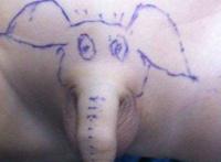 男生下体大象纹身图案：男人裆部大象纹身图案 男生在丁丁上纹身图片