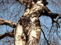 两性人下面图片大全:长阳具图片大全 两性人下面图片大全:长阳具图片大全