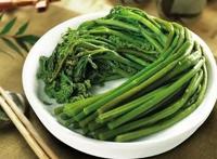 蕨菜吃多了会致癌吗 蕨菜不能和什么一起吃