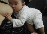 乳头正常什么样子图片!:刚怀孕,乳头的照片 乳头正常什么样子图片!:刚怀孕,乳头的照片