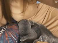 邪恶gif动态图第XXOO：2017邪恶啪啪动态图片