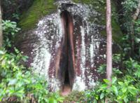 最标准的私处图片：女人私处真 美女私处标准