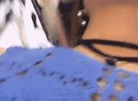 长途汽车搞邻座少女：在火车厕所被别人干